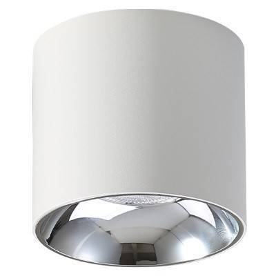 Oprawa nastropowa Spot Vaiolett 15W NW biały (Abigali-DL15W-NW)