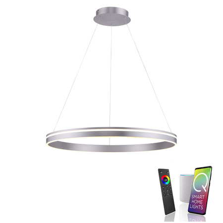 Q-VITO LAMPA WISZĄCA SREBRNY (8412-55) - Paul Neuhaus