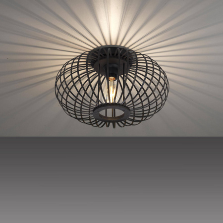 Lampa sufitowa RACOON CZARNA (11410-18) - Paul Neuhaus