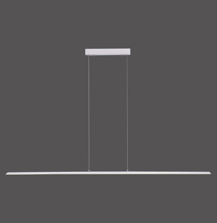 PURE LITE LAMPA WISZĄCA SREBRNY (8377-55) - Paul Neuhaus