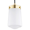 Lampa wisząca 1 pł. PASADENA (8004) - Argon