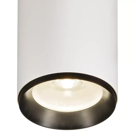 NUMINOS® DALI XL, oprawa wisząca biała/czarna 36 W 4000 K 60° (1005794) - SLV