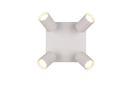 Lampa sufitowa z reflektorami SOKA (867730476) - Trio