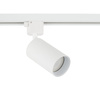 Reflektor na szynoprzewód TRACER AMIS WHITE 1XGU10 (10647) - TK Lighting