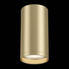Lampa sufitowa FOCUS S (C052CL-01MG) - Maytoni