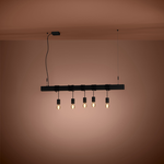 Lampa wisząca TOWNSHEND-B czarna (39937) - EGLO