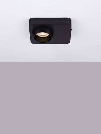 Lampa sufitowa wewnętrzna PARINAS (LE44499) - Luces Exclusivas