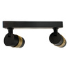 Lampa sufitowa Anillo 2 (LP-770/2W BK) - Light Prestige