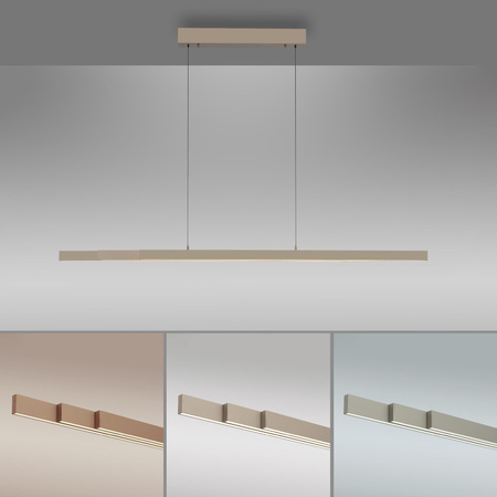 Rozsuwana i regulowana lampa wisząca ADRIANA COMFORT LIFT MOSIĄDZ (2598-97) - Paul Neuhaus