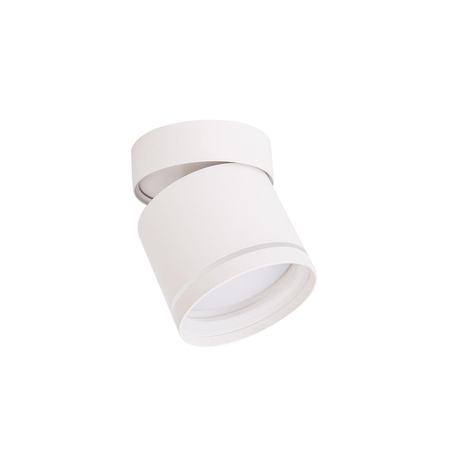 Kendal oprawa natynkowa biała z regulacją kąta świecenia (LP-6331/1SM R1 WH movable) - Light Prestige