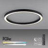 Lampa sufitowa PURE-LINES (6306-13) - Paul Neuhaus