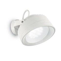 Lampa zewnętrzna Tommy AP1 kol. biały (145303) Ideal Lux
