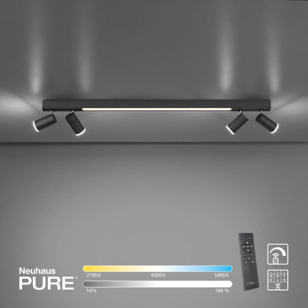 Lampa sufitowa PURE-LINES (6121-13) - Paul Neuhaus