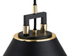 Lampa wisząca 1 pł. ORTE (4915) - Argon