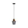 Neordic Edla Lampa wisząca max. 1x20W E27 230V Szkło przydymione/Korek (PL79740) - PAULMANN