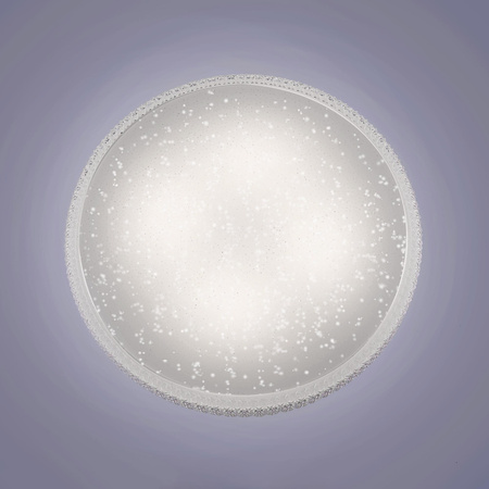 FRIDA LAMPA SUFITOWA TRANSPARENTNY (14372-00) - Paul Neuhaus