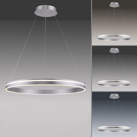 Q-VITO LAMPA WISZĄCA SREBRNY (8412-55) - Paul Neuhaus