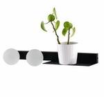 Kinkiet z półką BOTANICA DECO (20853202) - Kaspa