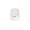Lampa sufitowa CL IOS LED 20W, ANGLE 60 (8744) - Nowodvorski