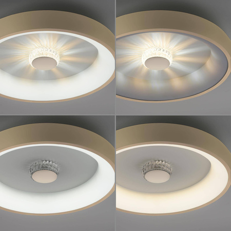 Plafon VERTIGO ceiling light brass matt body (14384-60) - Paul Neuhaus