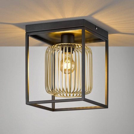 Lampa Sufitowa Caydo  (21294) - Fischer&Honsel