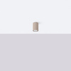 Lampa sufitowa KARBON 10 taupe (SL.1758) - Sollux Lighting