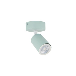 Lampa sufitowa LIVIA MINT 1(10220) - TK Lighting