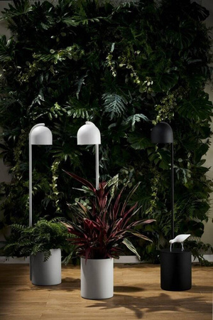 Lampa podłogowa BOTANICA XL (40848101) - Kaspa