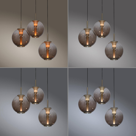 Lampa wisząca z płynną regulacją wysokości PURE E-INFINITY BRĄZOWY (2222-97) - Paul Neuhaus