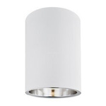plafon 1 pł. okrągły TYBER1 biały 1 x E27/15W LED ARGON 475