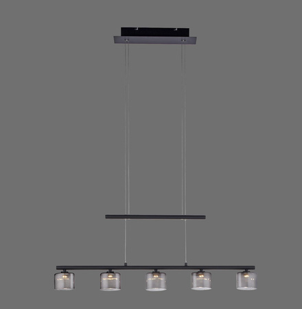 Lampa wisząca HYDRA (2209-18) - Paul Neuhaus