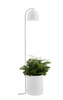 Lampa podłogowa BOTANICA XL (40848101) - Kaspa