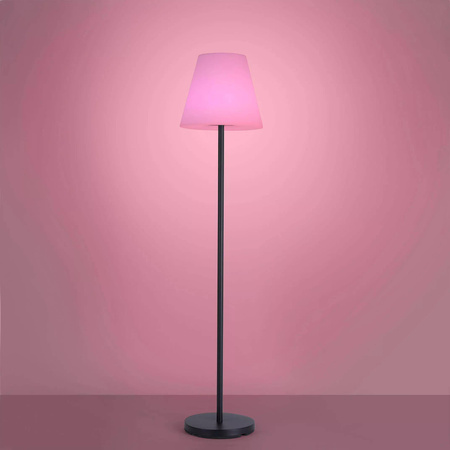 LAMPA PODŁOGOWA HOLLY (19826-18) - Paul Neuhaus
