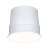 LED Coin Base Zigbee Dimmbar (PL92469) - PAULMANN