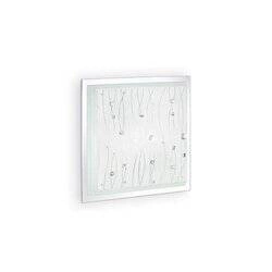 Plafon OCEAN PL2 kol. biały (081434) Ideal Lux