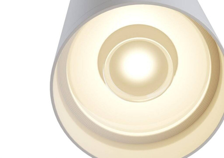 Lampa sufitowa Alfa Maytoni (C010CL-01W)