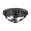 Plafon Bradbury (QZ-BRADBURY-F-GK) - Elstead Lighting