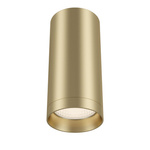 Lampa sufitowa Focus (C010CL-01MG) - Maytoni