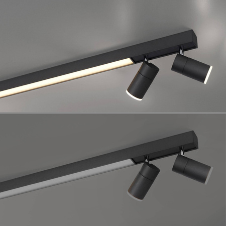Lampa sufitowa PURE-LINES (6121-13) - Paul Neuhaus