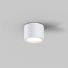 Lampa sufitowa Hydra (C090CL-10W3K-W) - Maytoni