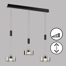 Regulowana lampa wisząca Lavin  (61096) - Fischer&Honsel