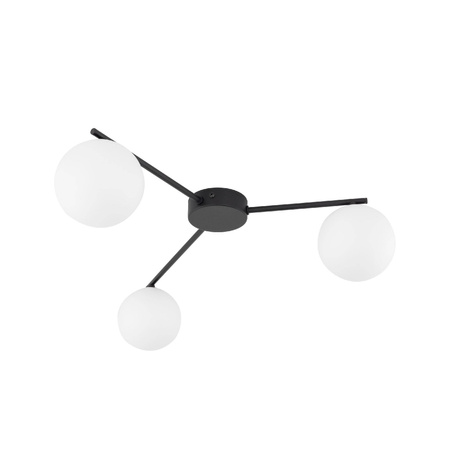 Lampa sufitowa ELTON BLACK 3 (10261) - TK Lighting