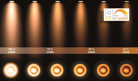 LED BULB  (49009/05/30) - Lucide
