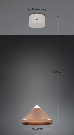 Pojedyncza lampa wisząca LAGUNA (336219165) - Trio