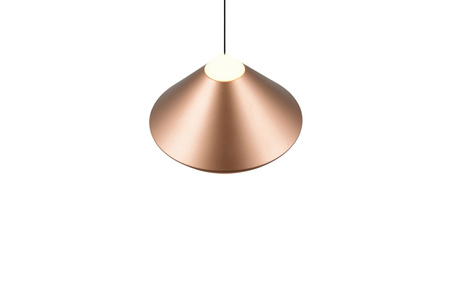 Pojedyncza lampa wisząca LAGUNA (336219165) - Trio