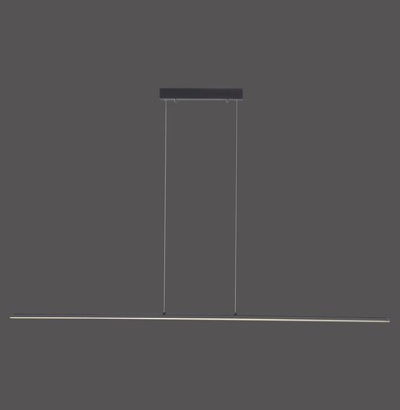 PURE-LITE LAMPA WISZĄCA ANTRACYT (8377-13) - Paul Neuhaus