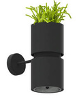 Kinkiet KUKKIA czarna (TH.005CZ) - Thoro Lighting