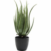 KARE roślina dekoracyjna ALOE 69 cm  (60724) - Kare Design