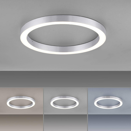 Lampa sufitowa PURE-LINES, ALUMINIUM (6309-95) - Paul Neuhaus