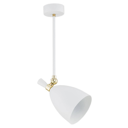 Lampa wisząca 1 pł. CHARLOTTE (4684) - Argon